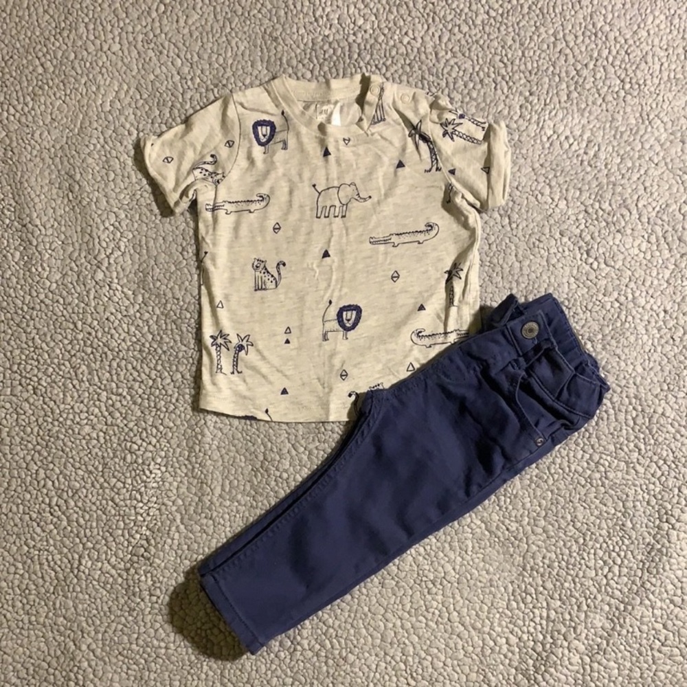 Wild Zoo set